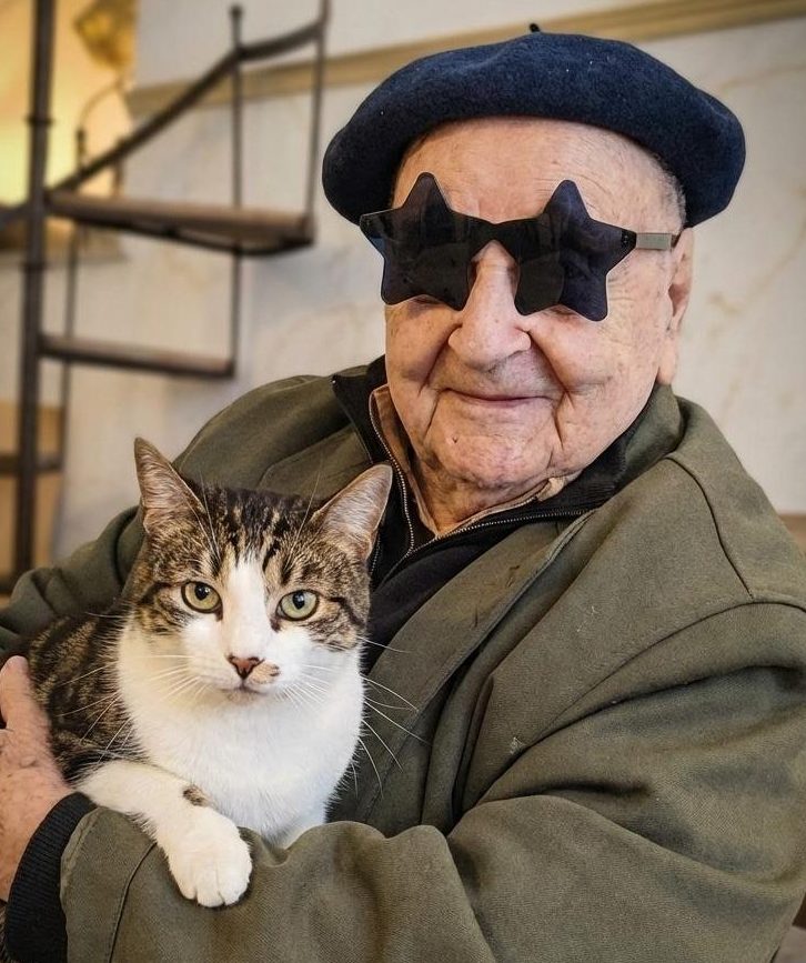 WhatsApp Image 2025-12-15 at 18.43.57 cat_image