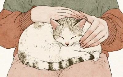 Los beneficios de pasar tiempo con gatos: lo que está medido y lo que no